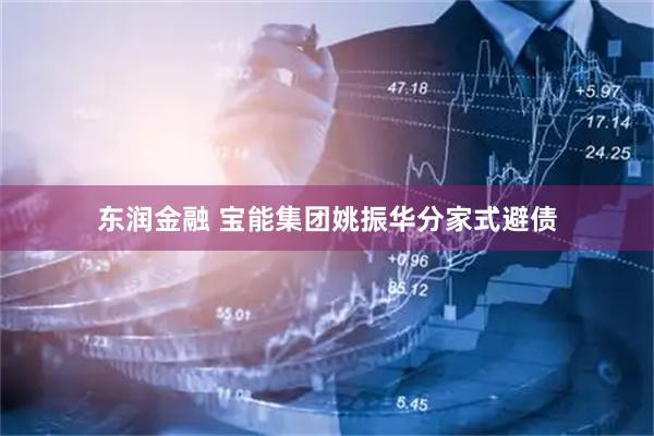 东润金融 宝能集团姚振华分家式避债